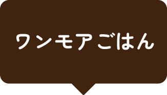 ワンモアごはん